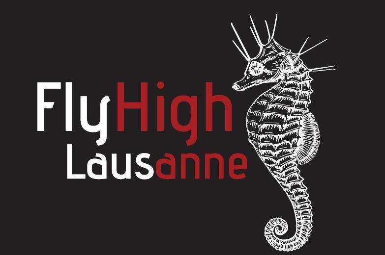 FlyHigh_Ultimate_Frisbee